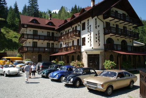 Hotel Victoria — hotel in Borsa