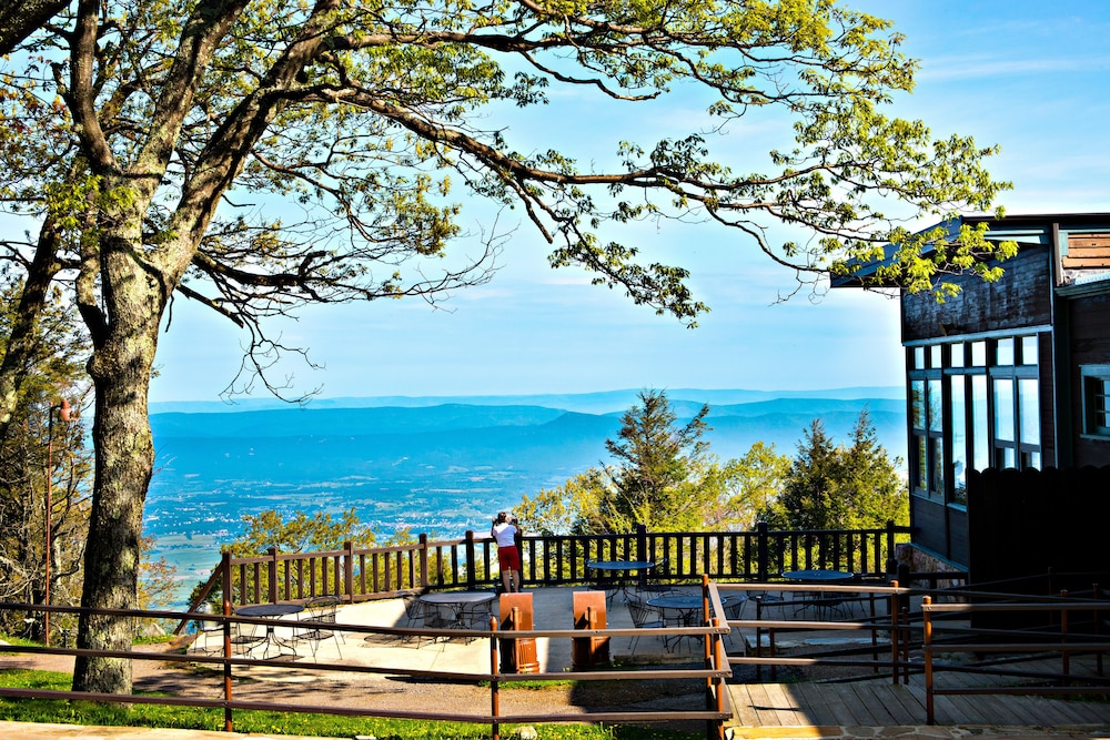 Skyland Resort - photo 33