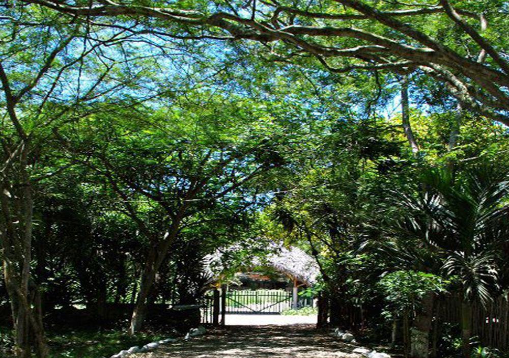 El Refugio de las Aves — Unknown City — photo 2