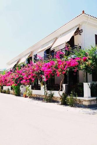 Hotel Angeliki in Samos, Greece