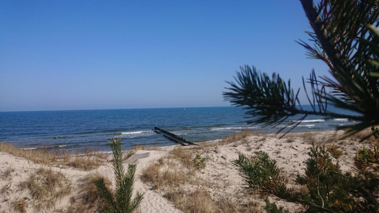 Duneshellter Rogowo — Rogowo — photo 3