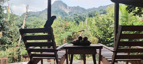 Mirador Jungle El Macuti in Rurrenabaque, Bolivia