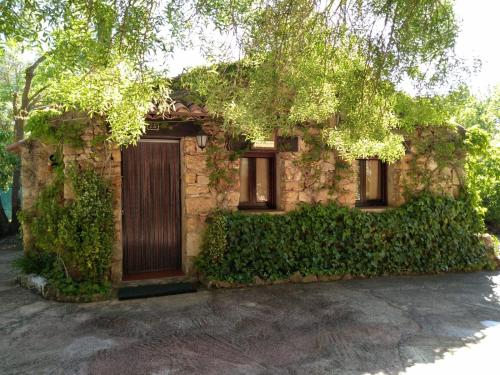 Casas Rurales Picos Del Oso — Riopar