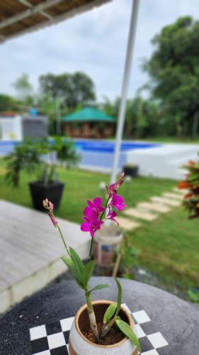 Benido Farm A Secret Haven in San Jose, Philippines