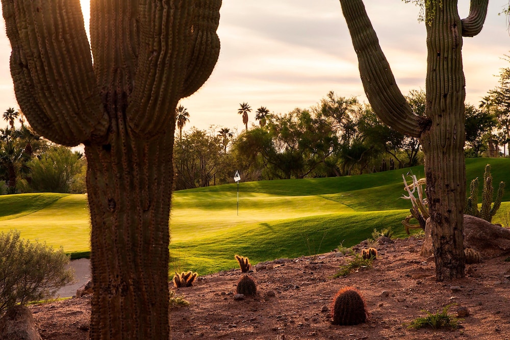 The Phoenician a Luxury Collection Resort Scottsdale - photo 106