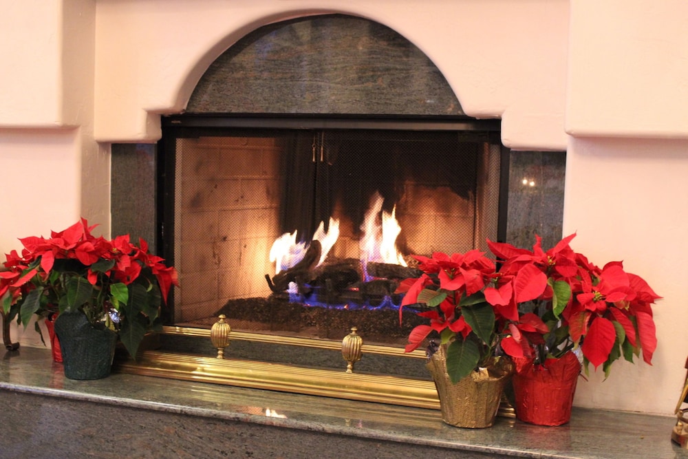 Forest Villas Hotel Prescott - photo 102