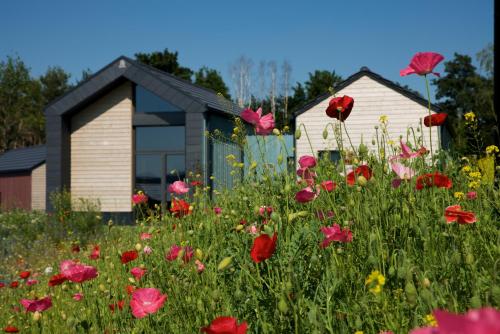 Bio Seehotel Chalets — hotel in Zeulenroda