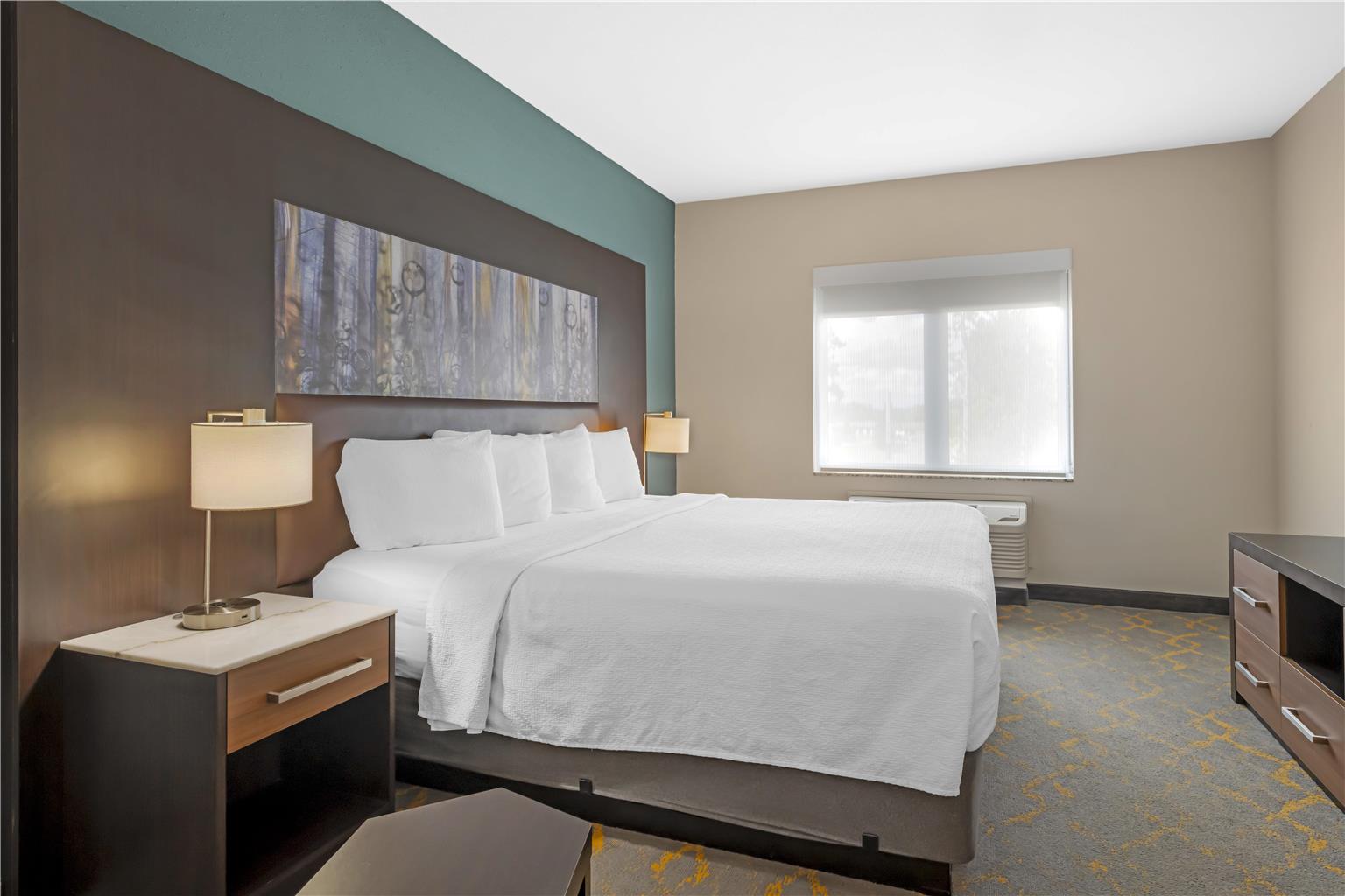 Best Western Plus Isanti - photo 43