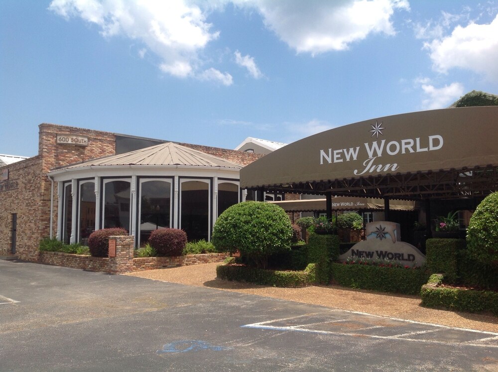 New World Inn Downtown Pensacola - photo 54