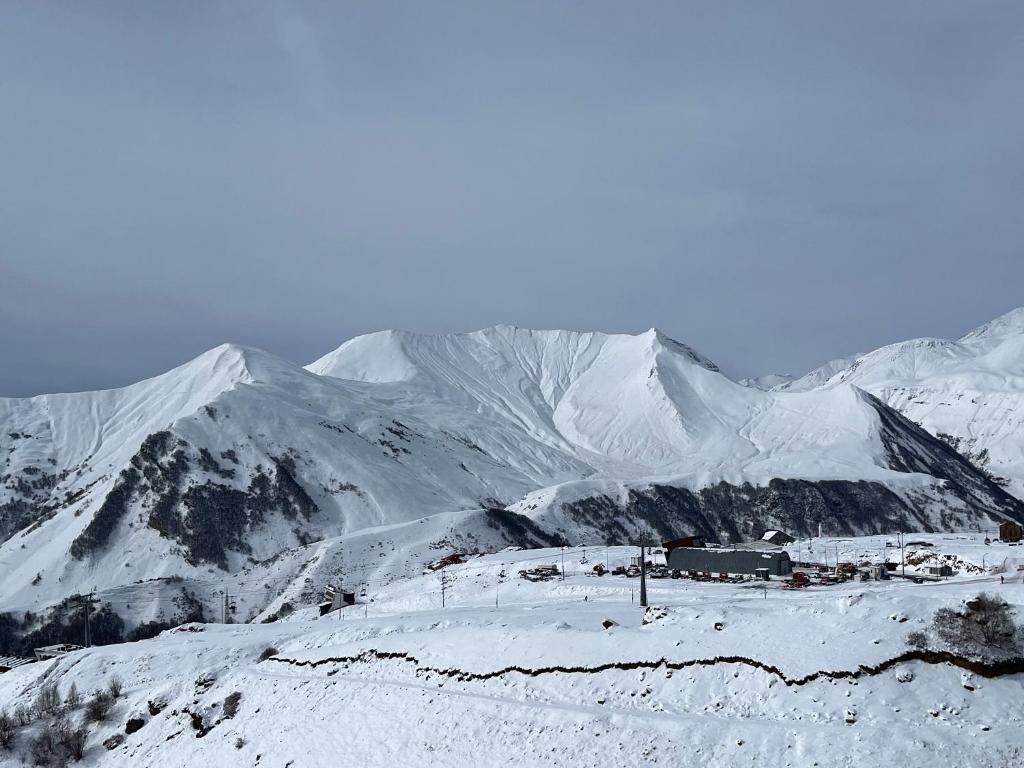 Delux apartment for 6 guest new gudauri