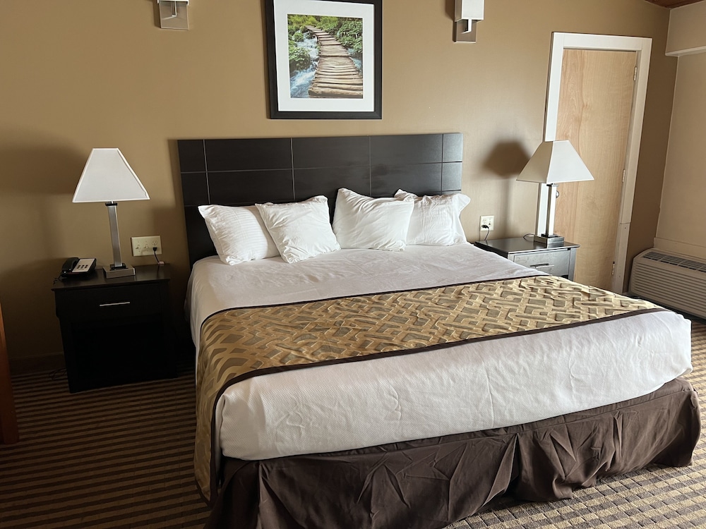 The Putney Inn - photo 8