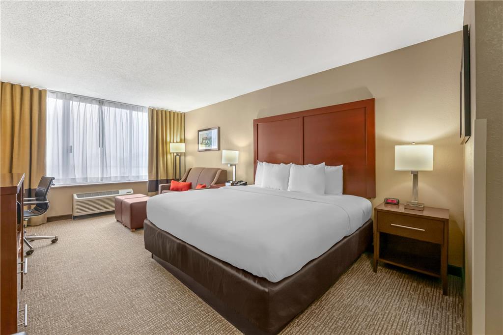 Comfort Inn Memphis Downtown - photo 28