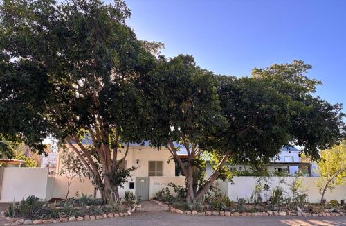 Skuurtjie — 4-Star Luxury Hotel in Prince Albert, South Africa