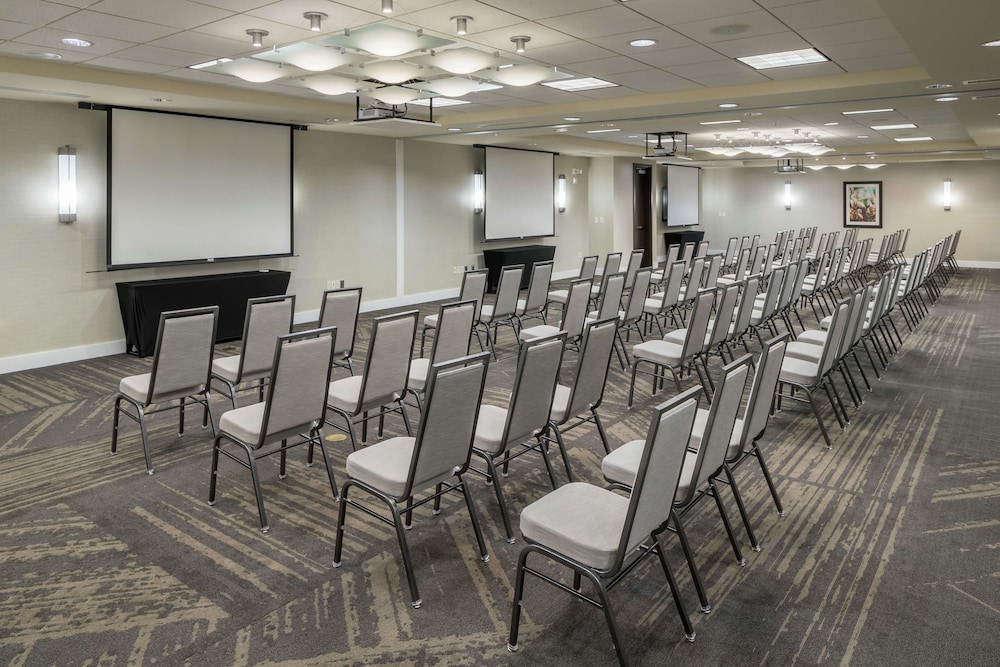 Hilton Garden Inn DFW North Grapevine - photo 42