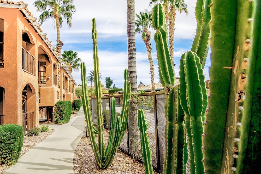 Holiday Inn Club Vacations Scottsdale Resort by IHG - photo 78