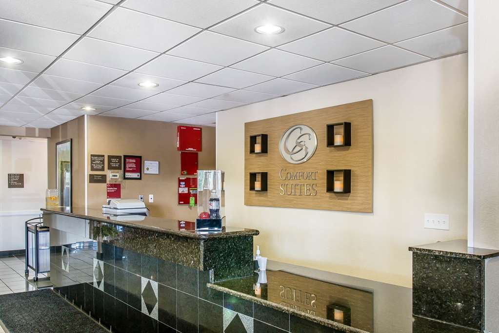 Comfort Suites Wixom Novi - photo 6