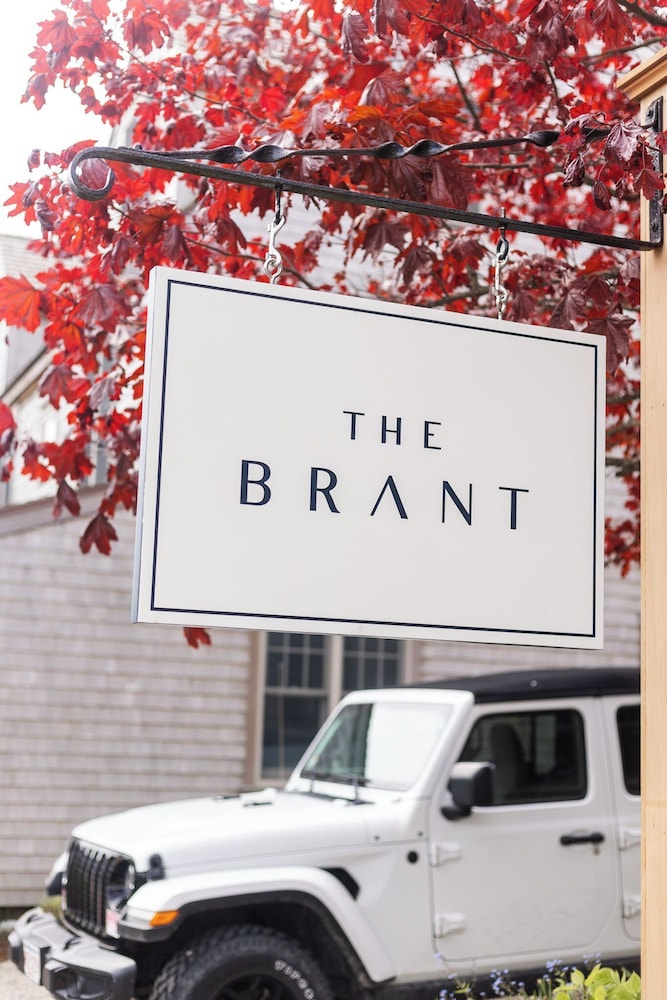 The Brant - photo 27