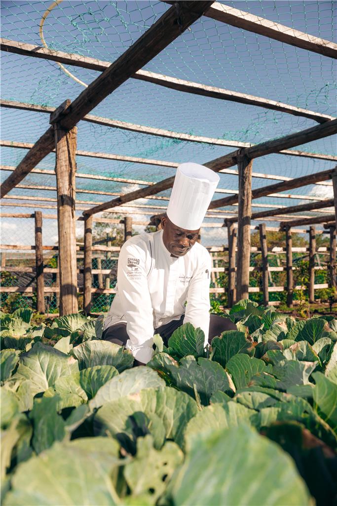 Lifestyle Experiences