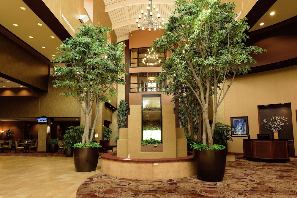 Embassy Suites by Hilton Minneapolis North - photo 7