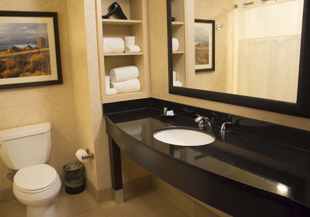 Zia Park Hotel - photo 7
