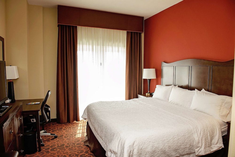 Hampton Inn & Suites Bradenton Downtown Historic District - photo 9
