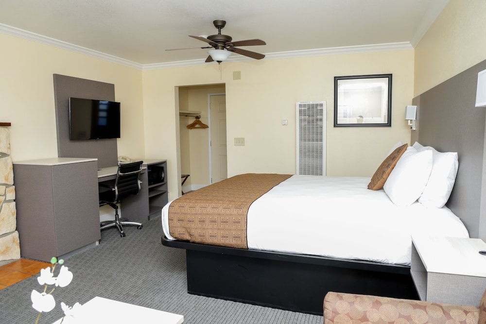 Silver Surf Motel - photo 16