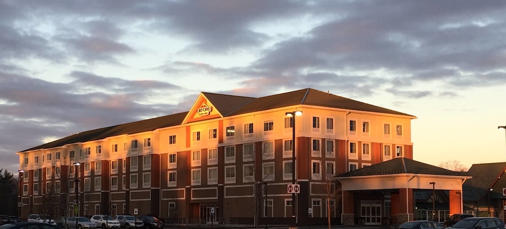 Oxford Casino Hotel - photo 15