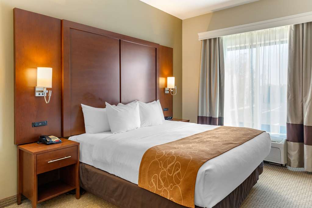 Comfort Suites Lancaster Amish Country - photo 11