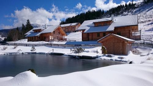Chalet Dachsteinblick — Pruggern — photo 2