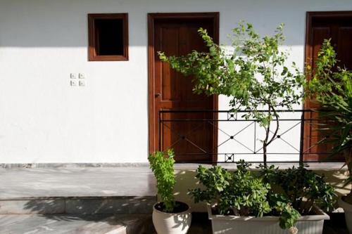 Hotel Finikounda - last minute hotel in Unknown City