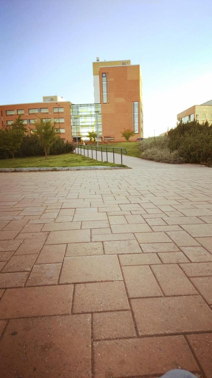 Talvi in Tuusula, Finland