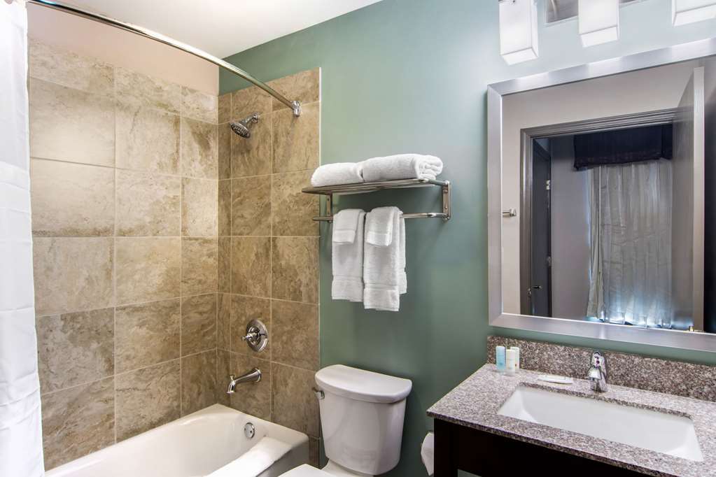 Clarion Inn & Suites Atlanta Downtown - photo 10