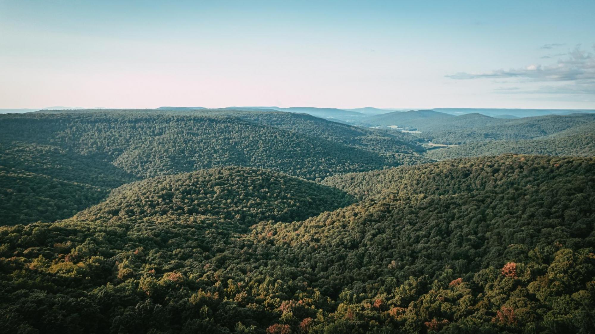 Stone'S Mountain View — hotel in Tullahoma