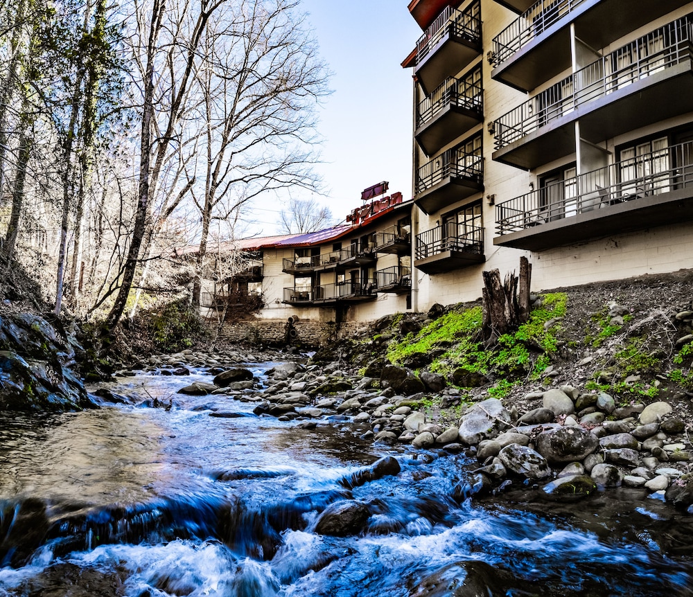 Bear Creek Inn - photo 28