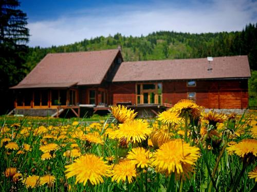 Crossline Lodge — 4-Star Luxury Hotel in Gheorgheni, Romania