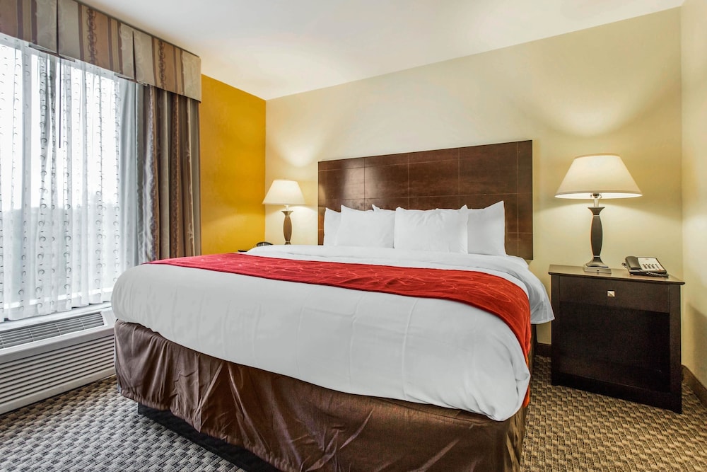 Comfort Suites Clinton near Presbyterian College - photo 10