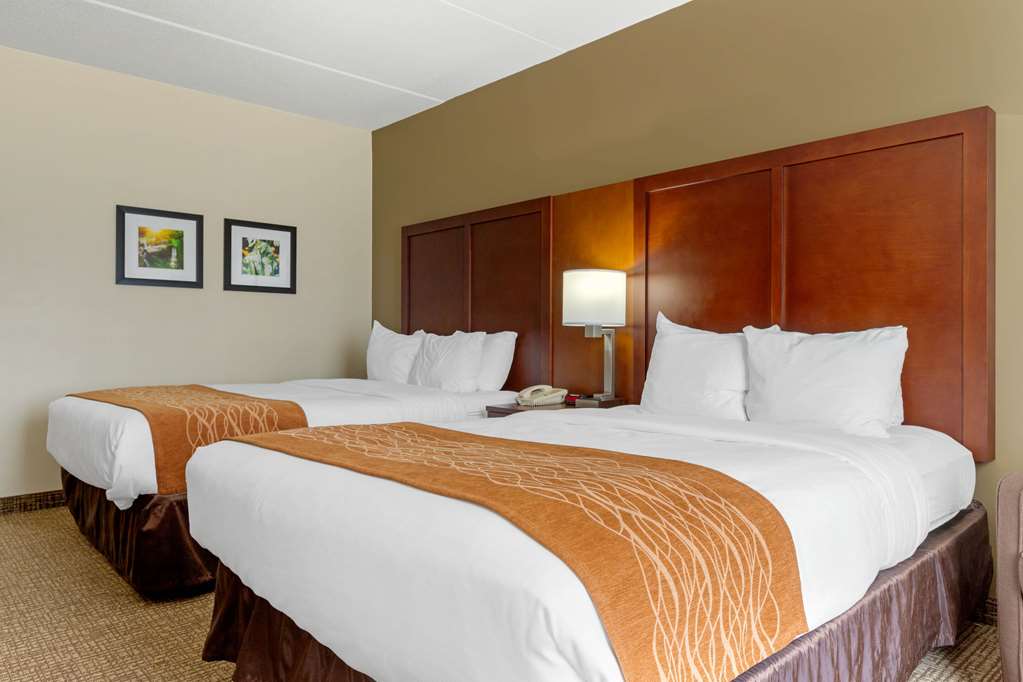Comfort Inn & Suites Cordele - photo 16