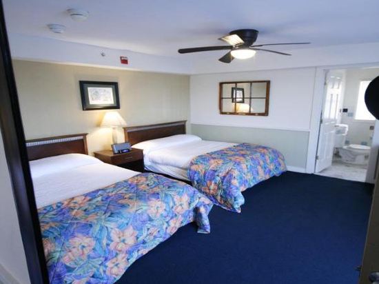 Fire Island Hotel - photo 17