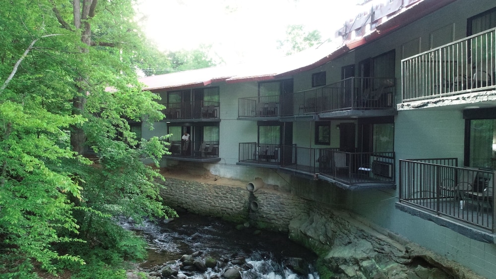 Bear Creek Inn - photo 40