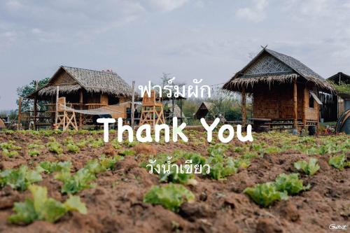 ฟาร์มผัก Thank You in Wang Nam Khiao, Thailand