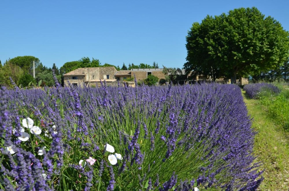 Mas de L'Amme — hotel in Valreas
