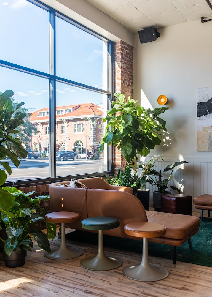 The Jesse Hotel & Bar - photo 2