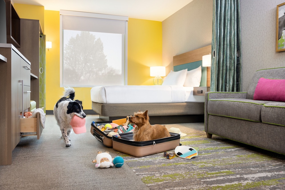 Home2 Suites by Hilton Orlando International Drive South FL - photo 23