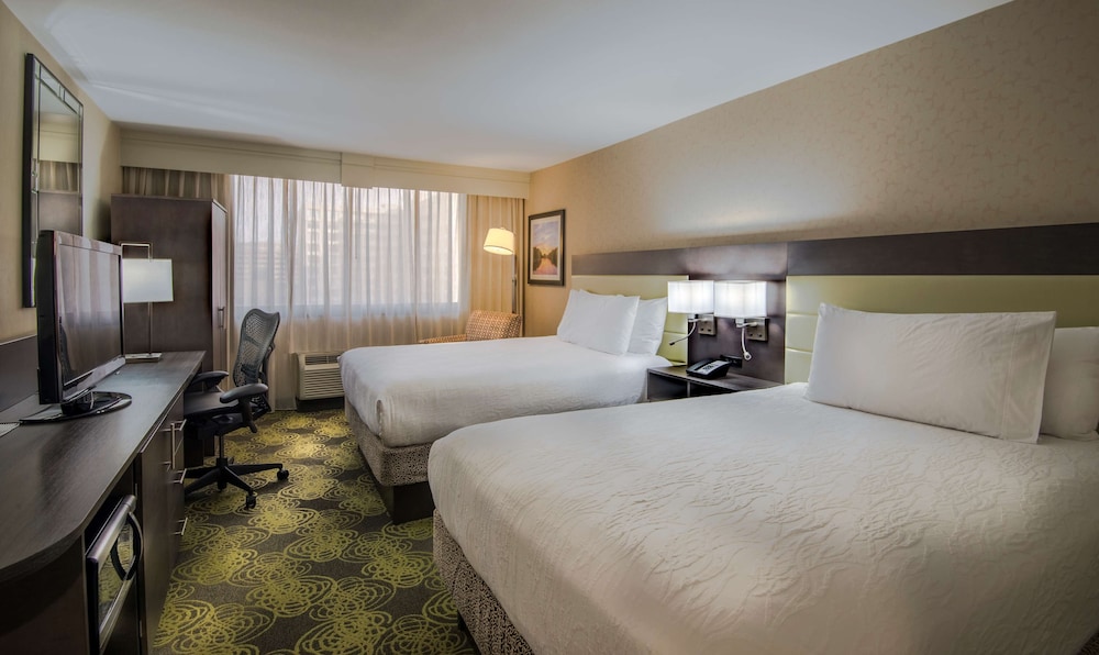 Hilton Garden Inn Reagan National Airport - photo 19