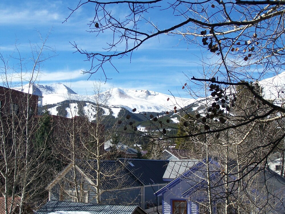 Longbranch #115 By Peak Property Management - photo 13