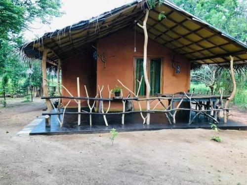 ක ල ව Jungle Eco Resort in Anuradhapura, Sri Lanka