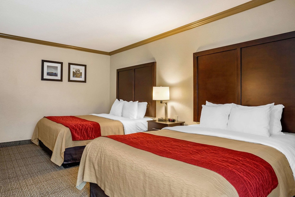 Comfort Inn Castro Valley - photo 18