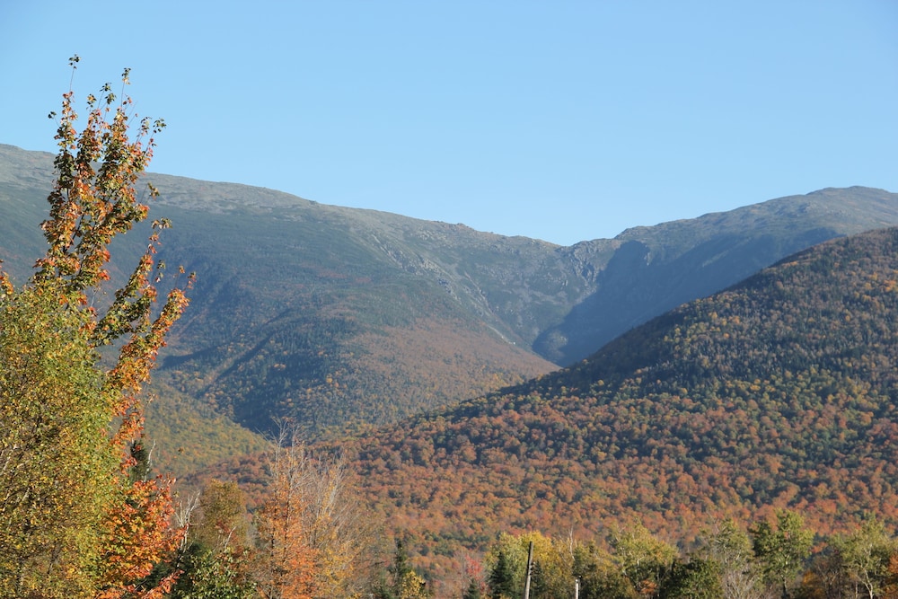 Mount Jefferson View - photo 69