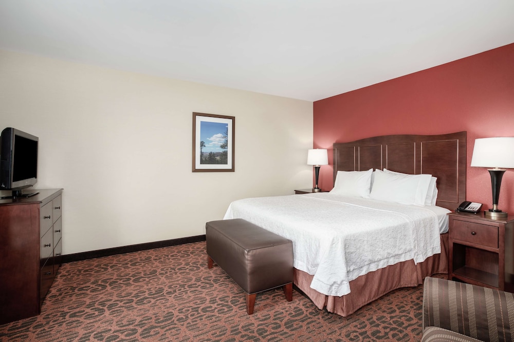 Hampton Inn & Suites Denver South RidgeGate - photo 30