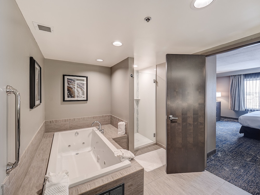 DoubleTree by Hilton Hotel Bloomington - photo 41